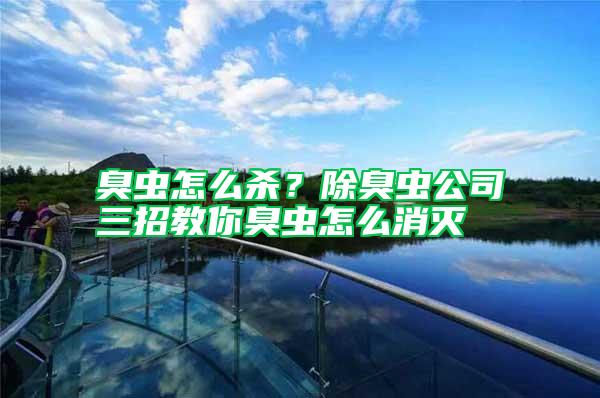 臭蟲怎么殺?除臭蟲公司三招教你臭蟲怎么消滅