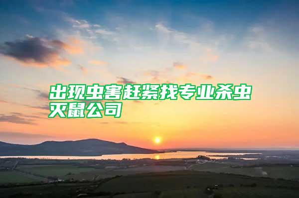 出現(xiàn)蟲害趕緊找專業(yè)殺蟲滅鼠公司