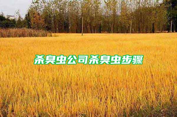 殺臭蟲公司殺臭蟲步驟