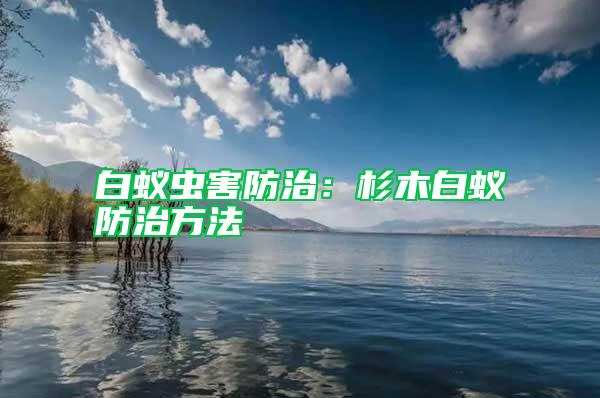 白蟻蟲害防治:杉木白蟻防治方法