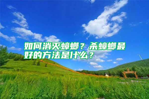如何消滅蟑螂？殺蟑螂最好的方法是什么？