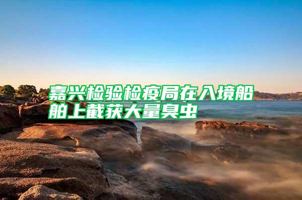 嘉興檢驗(yàn)檢疫局在入境船舶上截獲大量臭蟲(chóng)