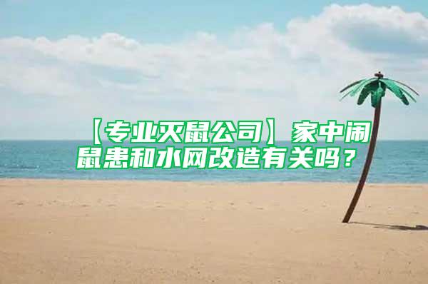 【專業滅鼠公司】家中鬧鼠患和水網改造有關嗎?