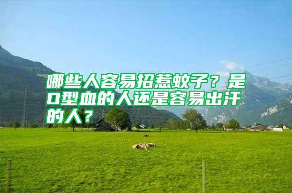 哪些人容易招惹蚊子？是O型血的人還是容易出汗的人？
