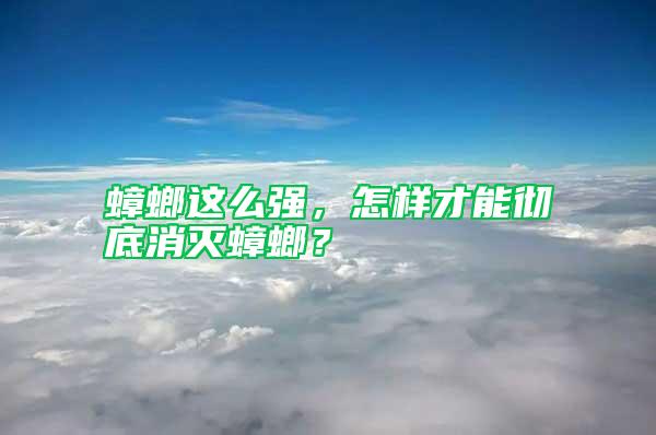 蟑螂這么強,怎樣才能徹底消滅蟑螂?