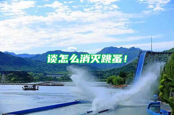 談怎么消滅跳蚤！