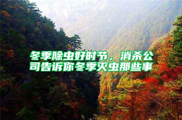 冬季除蟲好時(shí)節(jié)，消殺公司告訴你冬季滅蟲那些事
