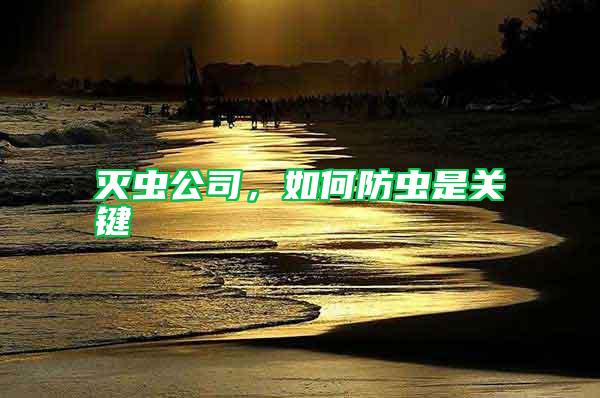 滅蟲公司,如何防蟲是關鍵