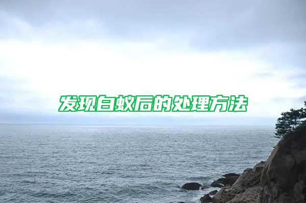 發(fā)現白蟻后的處理方法