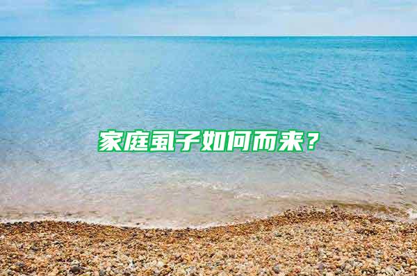 家庭虱子如何而來?