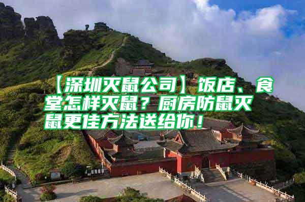 【深圳滅鼠公司】飯店、食堂怎樣滅鼠?廚房防鼠滅鼠更佳方法送給你!