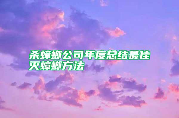 殺蟑螂公司年度總結(jié)最佳滅蟑螂方法