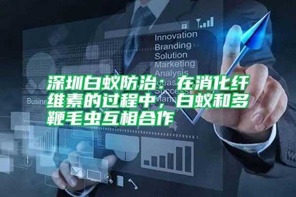 深圳白蟻防治：在消化纖維素的過程中，白蟻和多鞭毛蟲互相合作