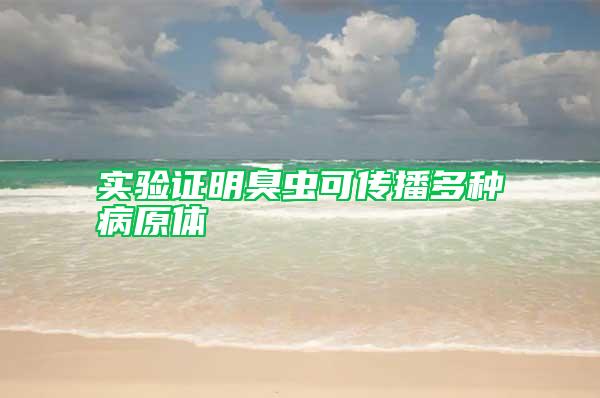實驗證明臭蟲可傳播多種病原體