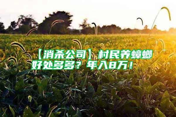 【消殺公司】村民養(yǎng)蟑螂好處多多？年入8萬！