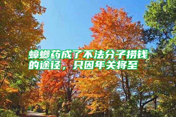 蟑螂藥成了不法分子撈錢的途徑,只因年關(guān)將至