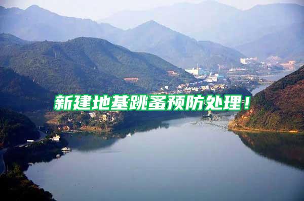 新建地基跳蚤預防處理！