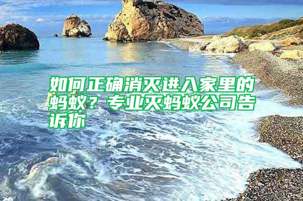 如何正確消滅進入家里的螞蟻？專業滅螞蟻公司告訴你