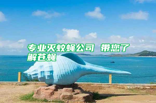 專業滅蚊蠅公司 帶您了解蒼蠅