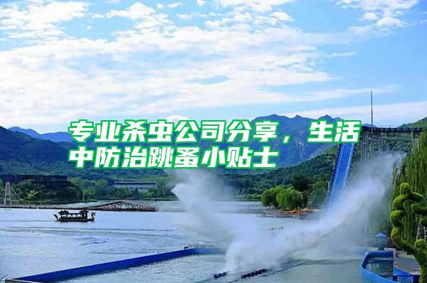 專業殺蟲公司分享，生活中防治跳蚤小貼士