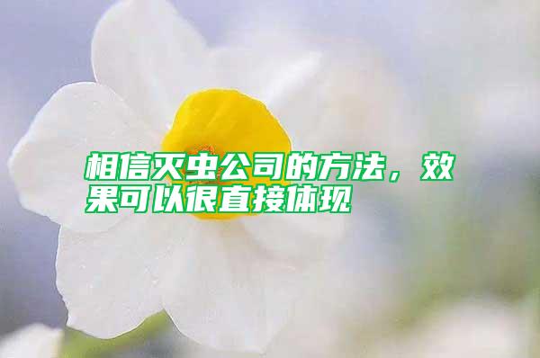 相信滅蟲公司的方法，效果可以很直接體現
