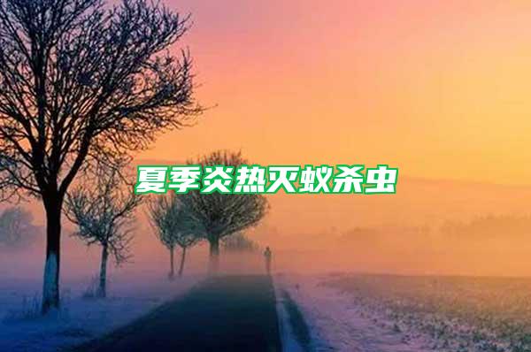 夏季炎熱滅蟻殺蟲(chóng)
