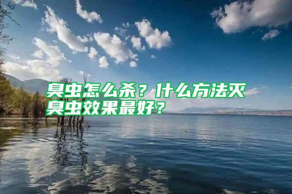 臭蟲怎么殺？什么方法滅臭蟲效果最好？