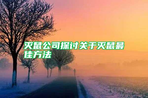 滅鼠公司探討關于滅鼠最佳方法