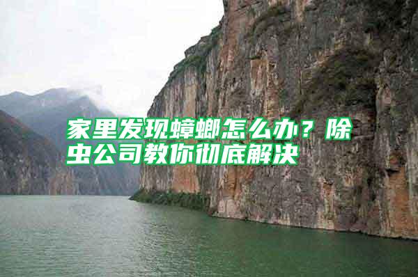 家里發現蟑螂怎么辦？除蟲公司教你徹底解決