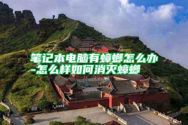 筆記本電腦有蟑螂怎么辦-怎么樣如何消滅蟑螂