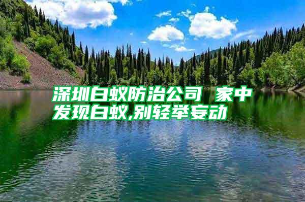深圳白蟻防治公司 家中發現白蟻,別輕舉妄動