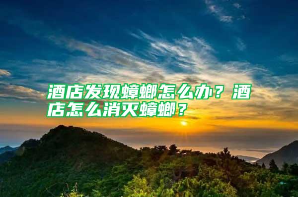 酒店發現蟑螂怎么辦？酒店怎么消滅蟑螂？