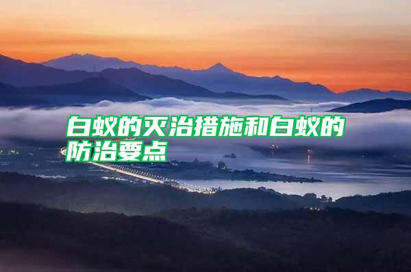 白蟻的滅治措施和白蟻的防治要點