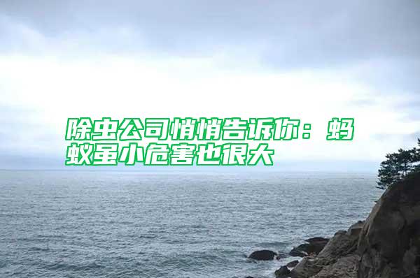 除蟲公司悄悄告訴你:螞蟻雖小危害也很大