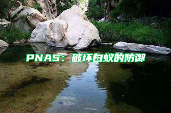 PNAS:破壞白蟻的防御