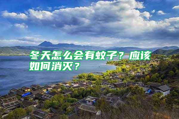 冬天怎么會有蚊子？應該如何消滅？