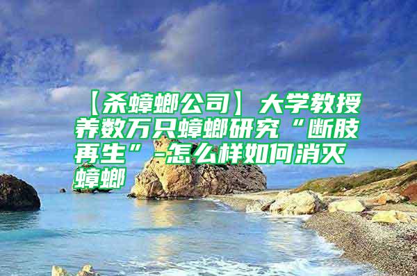 【殺蟑螂公司】大學教授養數萬只蟑螂研究“斷肢再生”-怎么樣如何消滅蟑螂