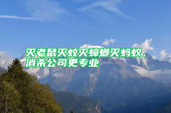 滅老鼠滅蚊滅蟑螂滅螞蟻，消殺公司更專業