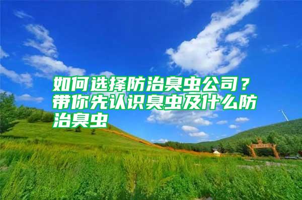 如何選擇防治臭蟲公司？帶你先認(rèn)識(shí)臭蟲及什么防治臭蟲