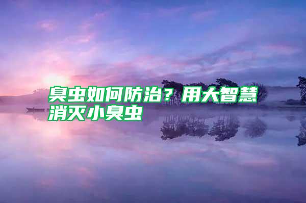 臭蟲(chóng)如何防治？用大智慧消滅小臭蟲(chóng)