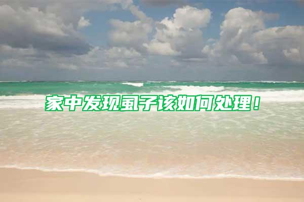 家中發(fā)現(xiàn)虱子該如何處理!