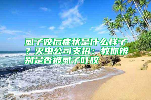 虱子咬后癥狀是什么樣子？滅蟲公司支招：教你辨別是否被虱子叮咬