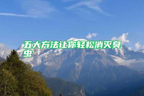 五大方法讓你輕松消滅臭蟲