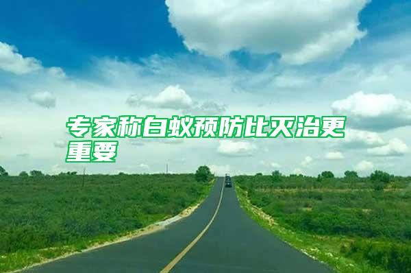 專家稱白蟻預防比滅治更重要