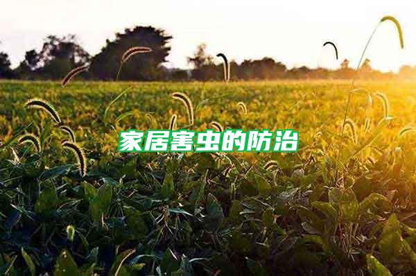 家居害蟲的防治
