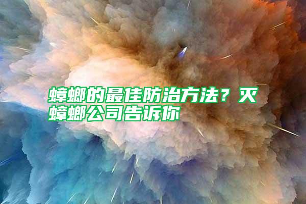 蟑螂的最佳防治方法？滅蟑螂公司告訴你