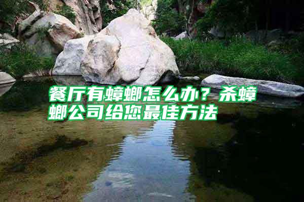 餐廳有蟑螂怎么辦?殺蟑螂公司給您最佳方法
