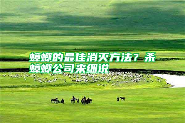 蟑螂的最佳消滅方法？殺蟑螂公司來細說
