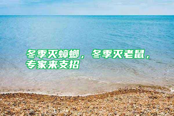 冬季滅蟑螂，冬季滅老鼠，專家來支招