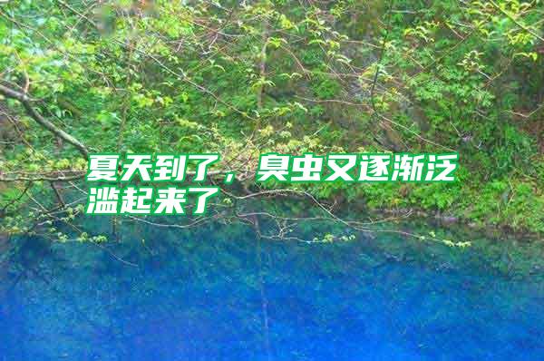 夏天到了，臭蟲又逐漸泛濫起來了